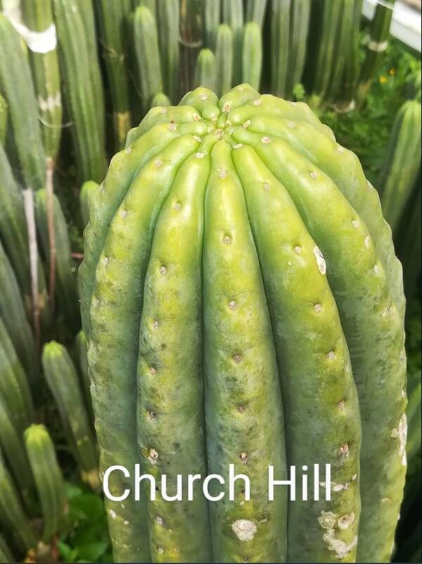 church-hill-1.jpg church-hill-1.jpg