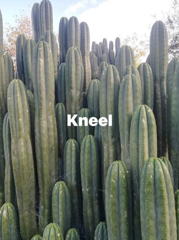 kneel-1.jpg kneel-1.jpg