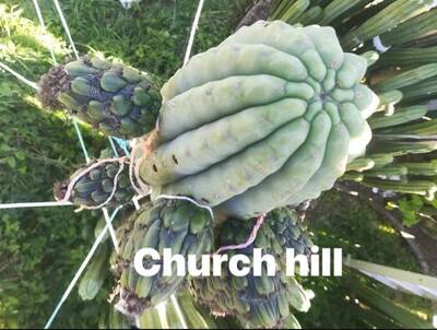 church-hill-2.jpg church-hill-2.jpg