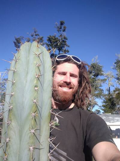 a01e2b691d8e7a02.jpg El Willow - Trichocereus San Pedro cactus clone photo 4
