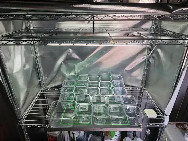 A successful fully controlled germination station A successful fully controlled germination station