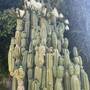 img_2627.jpeg