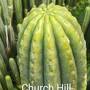church-hill-1.jpg