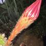 img_7921.jpeg