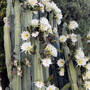 img_4823.jpeg