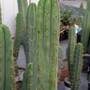 pxl_20251102_twin_spine1.jpg