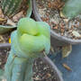 img_5108.jpeg