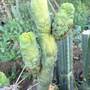 img_8432.jpeg