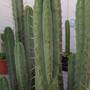 pxl_20251102_0twin_spine_4.jpg