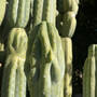 img_4768.jpeg