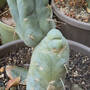 img_5110.jpeg