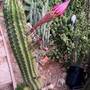 img_7913.jpeg