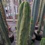 pxl_20251102_0twin_spine_3.jpg